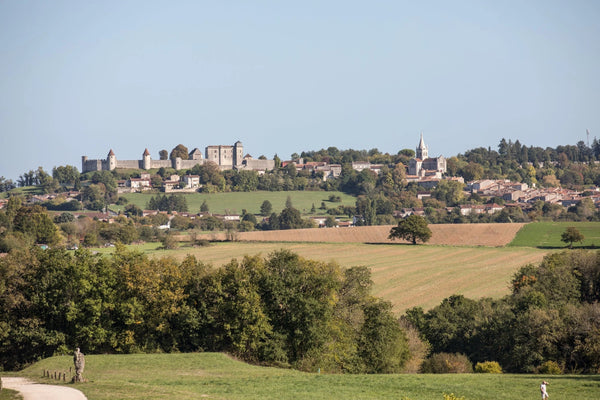 Saphir – Visit of the Company That Produces the World’s Finest Shoe Polish